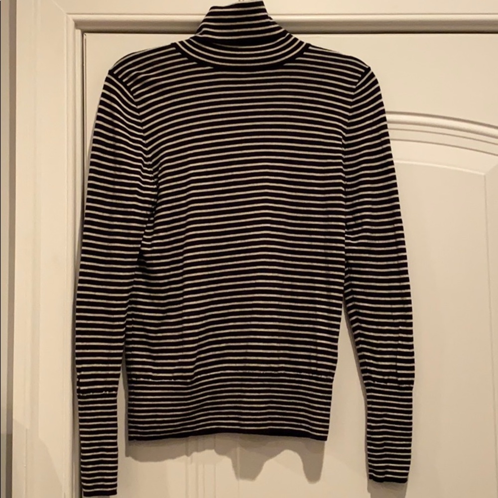 JCrew 100% Merino Wool Striped Turtleneck Sweater